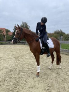 Reiterin auf Rappe in schwarzer Reitkleidung mit Helm sitzt auf braunem Pferd mit weißem Sattelpad in Reitanlage